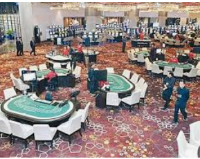 333体育电脑免费版